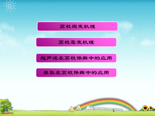 荔枝保鲜已修改贮藏与保险
