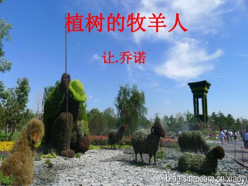 最新审定新人教版七年级语文上册14市级公开课课件.植树的牧羊人ppt