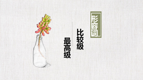 人教版中考形容词副词的比较级最高级用法教学课件