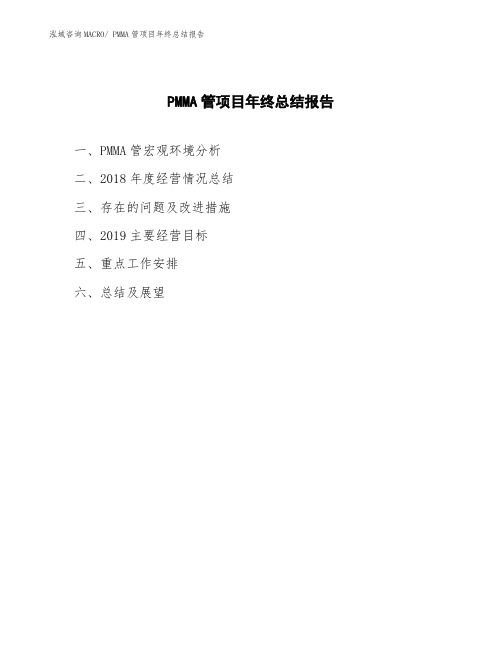 PMMA管项目年终总结报告