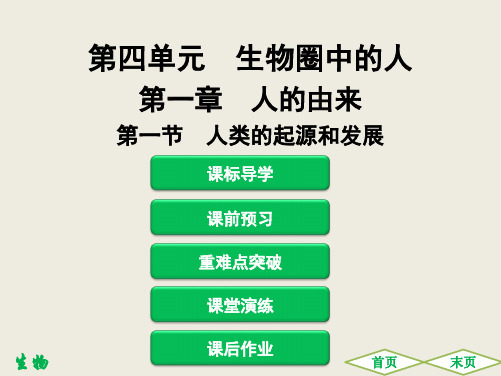 2020春人教版初中生物七年级下册同步讲练：第一节 人类的起源和发展