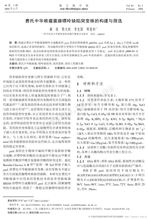 费氏中华根瘤菌腺嘌呤缺陷突变株的构建与筛选