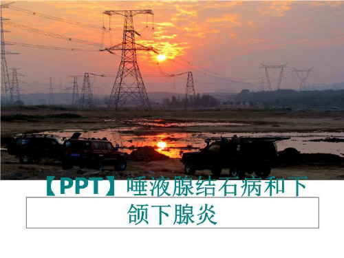 最新【PPT】唾液腺结石病和下颌下腺炎PPT课件