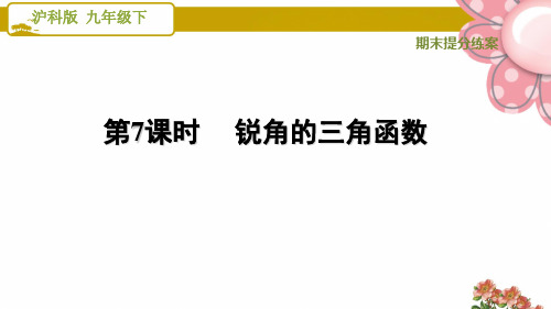 沪科版九年级数学上册《期末提分练案》第7课时  锐角的三角函数