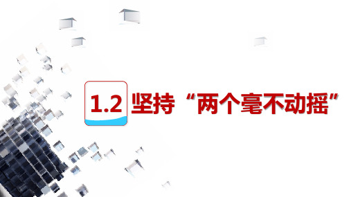 高中政治统编版必修二1.2坚持“两个毫不动摇”(共22张ppt)