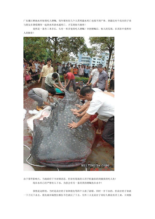 广东廉江鹤地水库惊现吃人塘鲺,每年都有好几个人莫明溺水