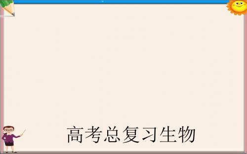 高考生物一轮复习细胞的增殖课件