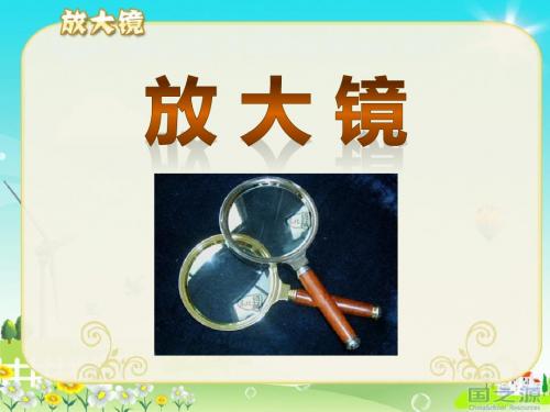 《放大镜》微小世界PPT课件2 (共12张PPT)