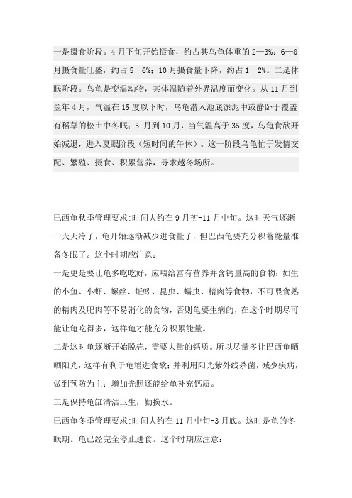 乌龟冬眠