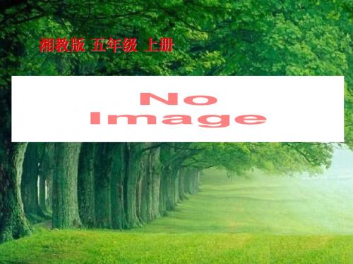 《小鸟和守林老人》PPT精品教学课件3