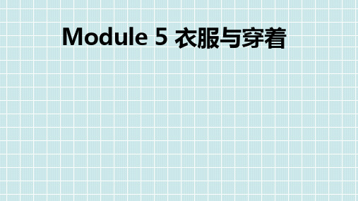 高考英语话题系统循环总复习：Module-5-衣服与穿着