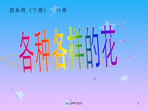 四年级科学下册各种各样的花ppt课件