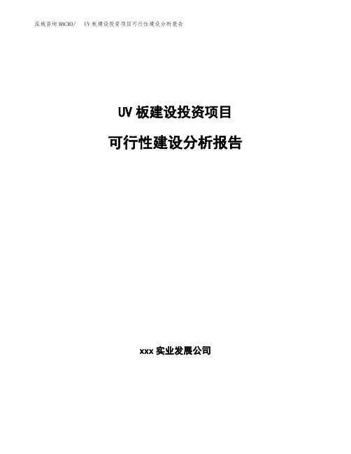 UV板建设投资项目可行性建设分析报告模板