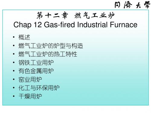 燃气燃烧与应用_chap12