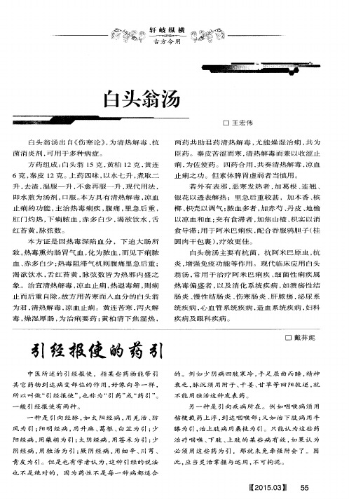 白头翁汤