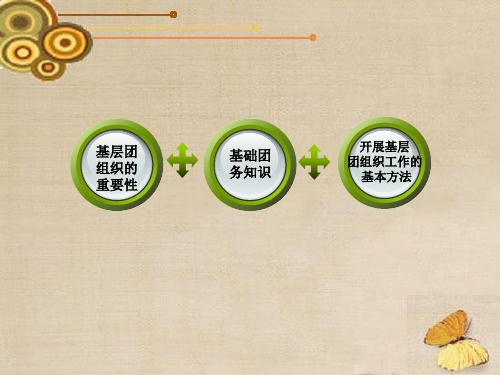基础团务知识基层团组织的重要性开展基层团组织工作的基本方法