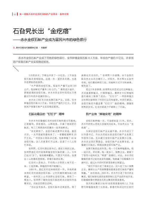 石旮旯长出“金疙瘩”——赤水金钗石斛产业成为富民兴市的绿色银行