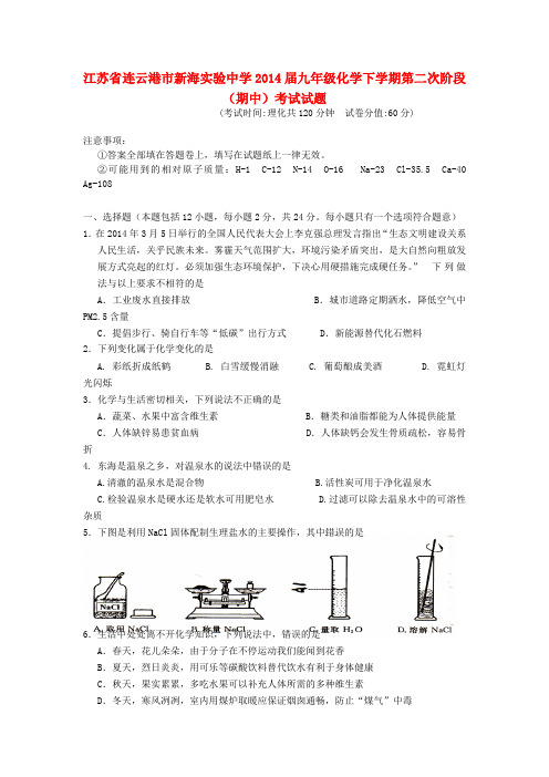 江苏省连云港市新海实验中学九年级化学下学期第二次阶段(期中)考试试题(无答案)