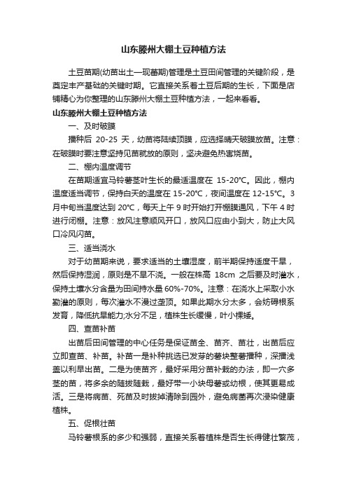 山东滕州大棚土豆种植方法