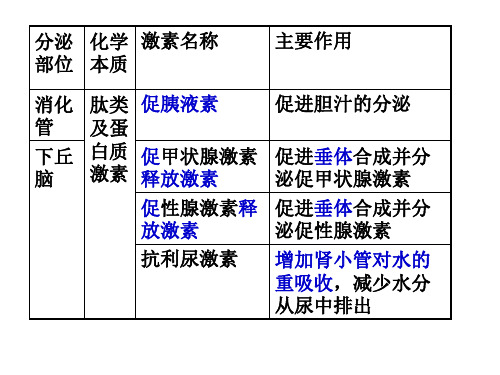 人体主要分泌腺和激素
