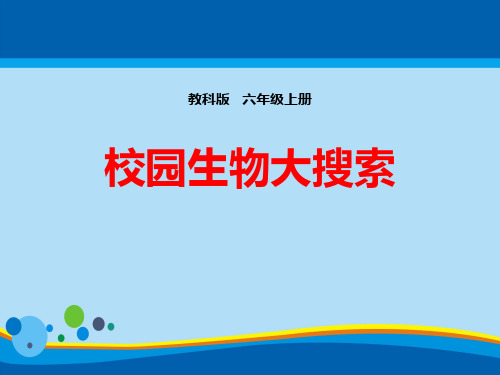《校园生物大搜索》生物的多样性PPT下载【精选推荐课件】