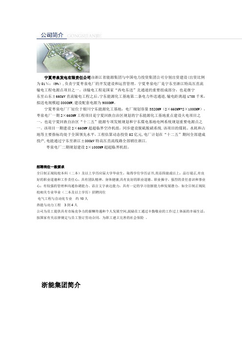 宁夏枣泉发电有限责任公司