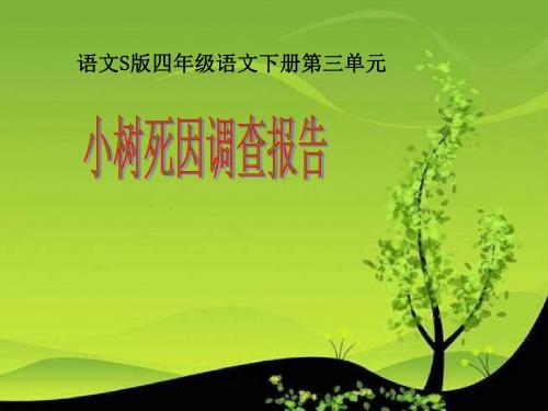 四年级下册《小树死因调查报告》PPT(语文S版)