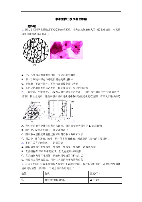 中考生物三模试卷含答案
