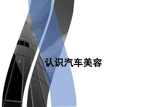 认识汽车美容