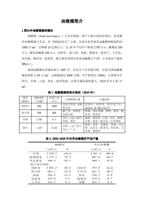 油橄榄简介