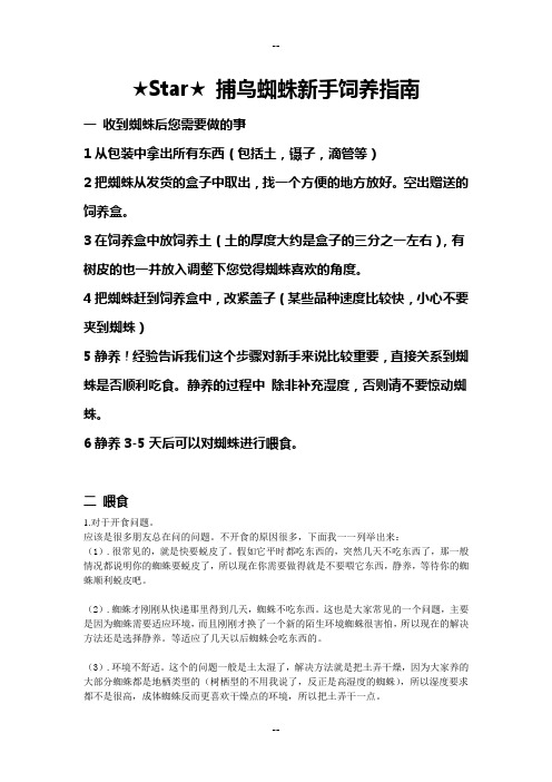 蜘蛛新手饲养指南