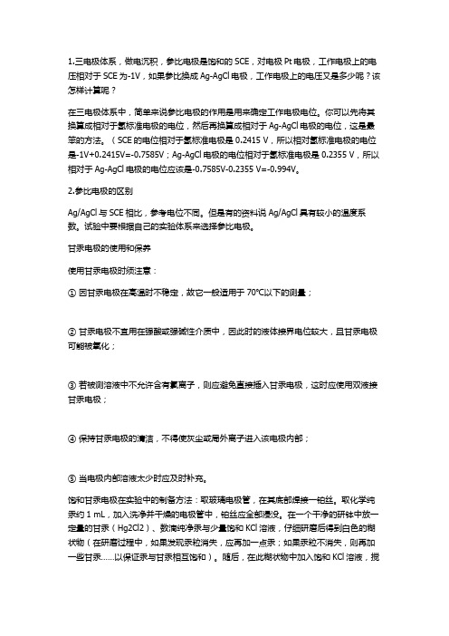 参比电极