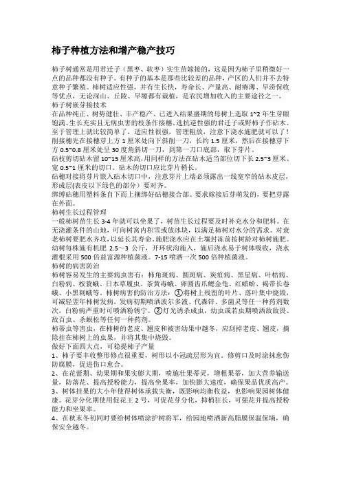 柿子种植方法和增产稳产技巧