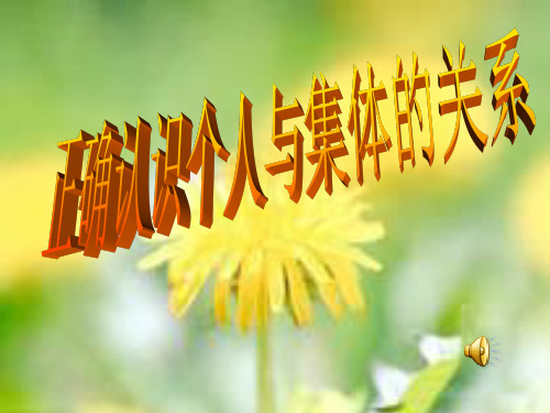 个人与集体的关系(共12张PPT)