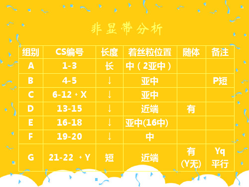 【实用】G带分析PPT文档