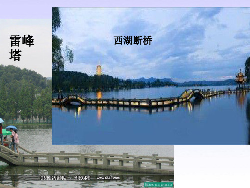 人教版三年级上册语文21.古诗两首之饮湖上初晴后雨分析