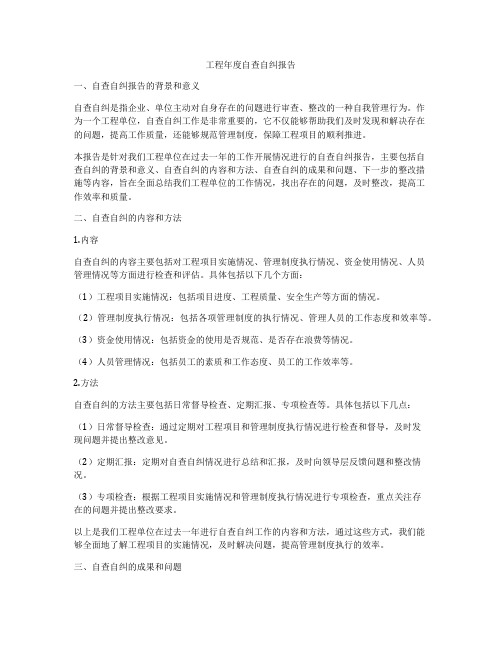 工程年度自查自纠报告