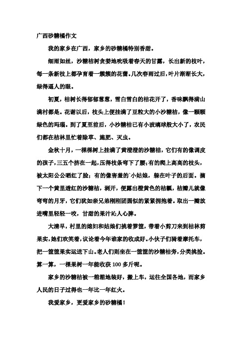广西砂糖橘作文