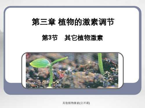 其他植物激素(公开课)