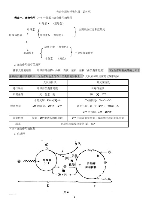 光合作用和呼吸作用---1(老师)