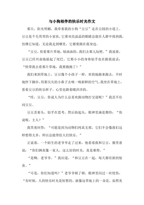 与小狗相伴的快乐时光作文精选10篇