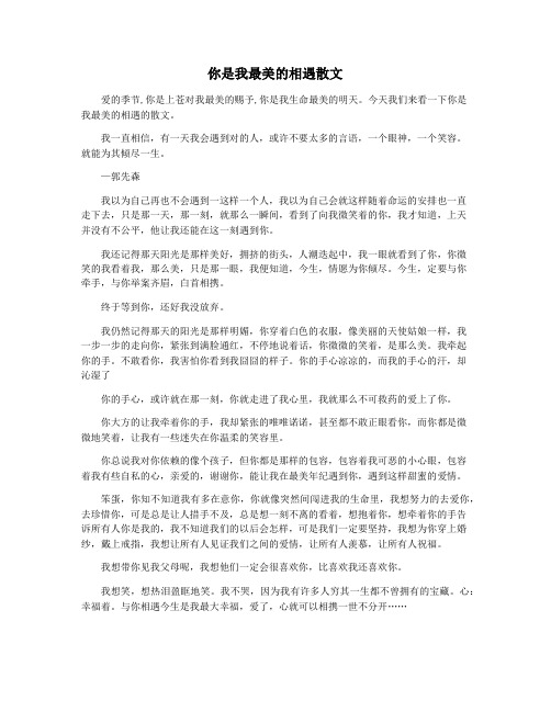 你是我最美的相遇散文
