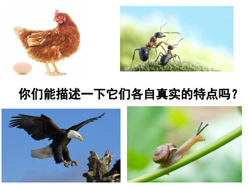 三年级下册语文精品课件-习作(共19页)-人教部编版
