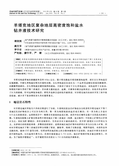 羊塔克地区复杂地层高密度饱和盐水钻井液技术研究