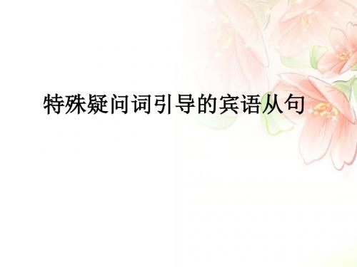 九年级英语语法知识的归纳与总结 特殊疑问词引导的宾语从句教学课件