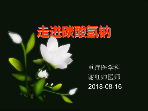 走进碳酸氢钠