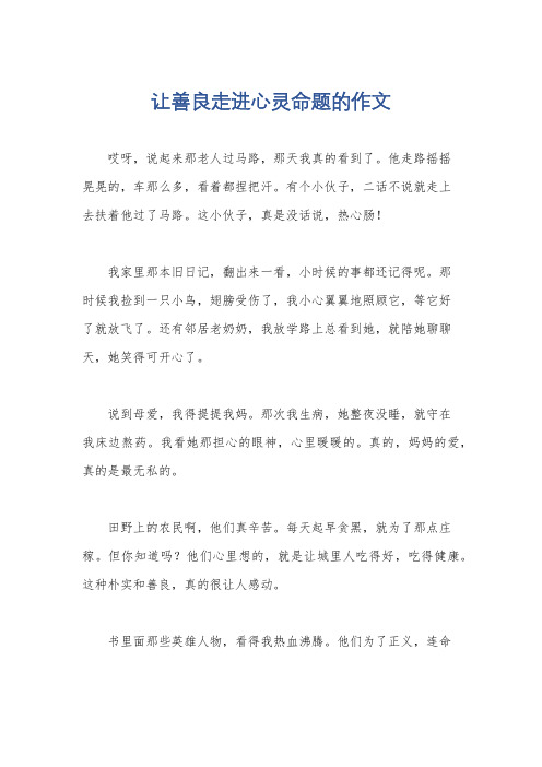 让善良走进心灵命题的作文