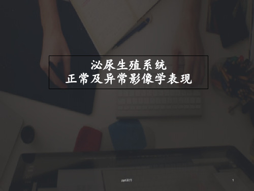 泌尿生殖系统正常及异常影像学表现  ppt课件
