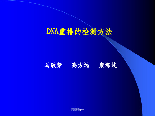 DNA重排的检测方法