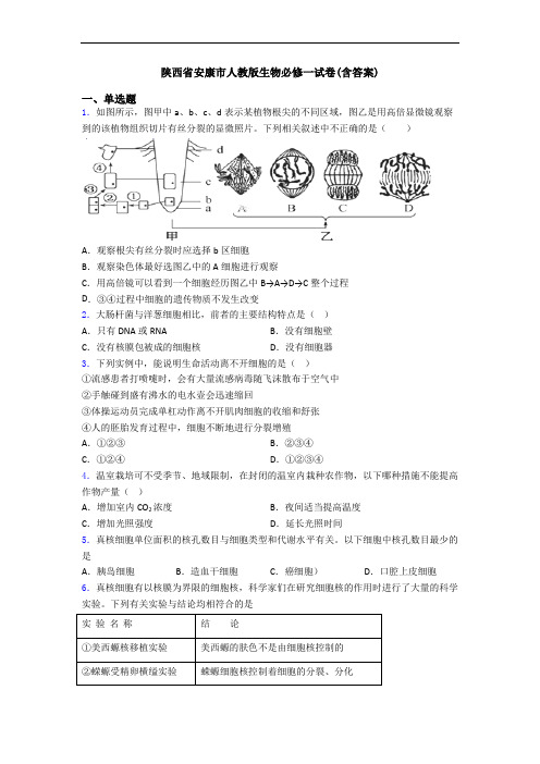陕西省安康市人教版生物必修一试卷(含答案)